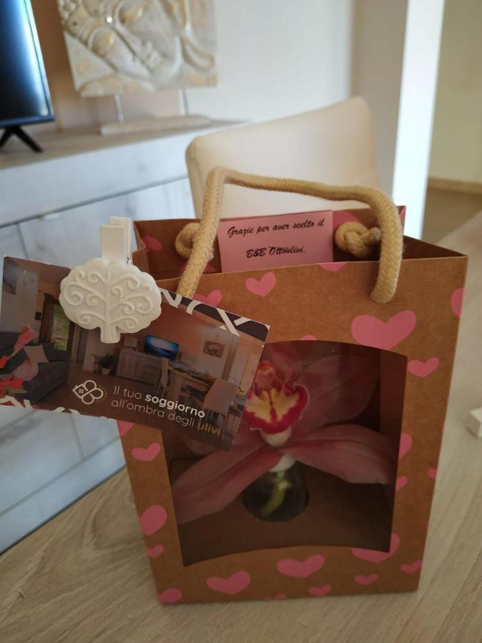 B&B Ottoulivi 사르다라 외부 사진